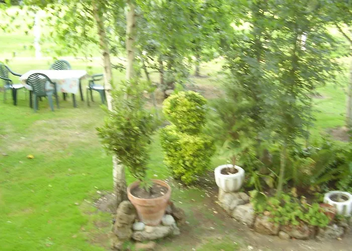 El Magnolio