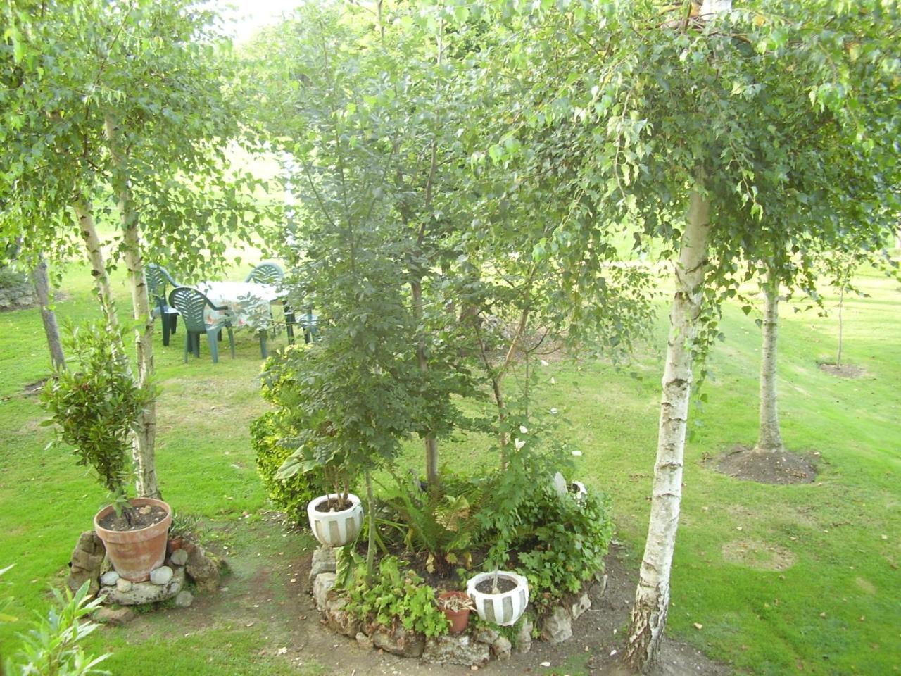 El Magnolio *