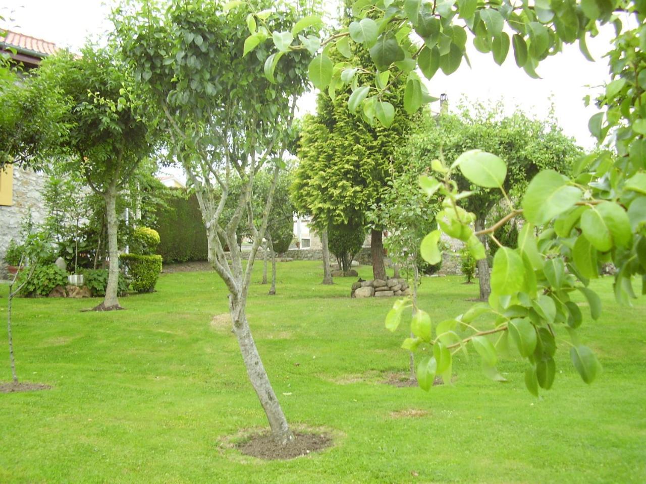 Apartment El Magnolio